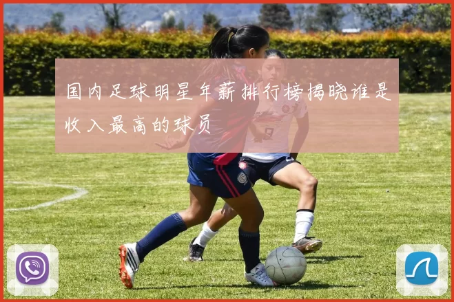 国内足球明星年薪排行榜揭晓谁是收入最高的球员