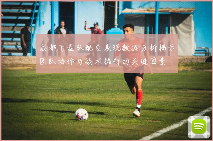 成都飞盘队配合表现数据分析揭示团队协作与战术执行的关键因素