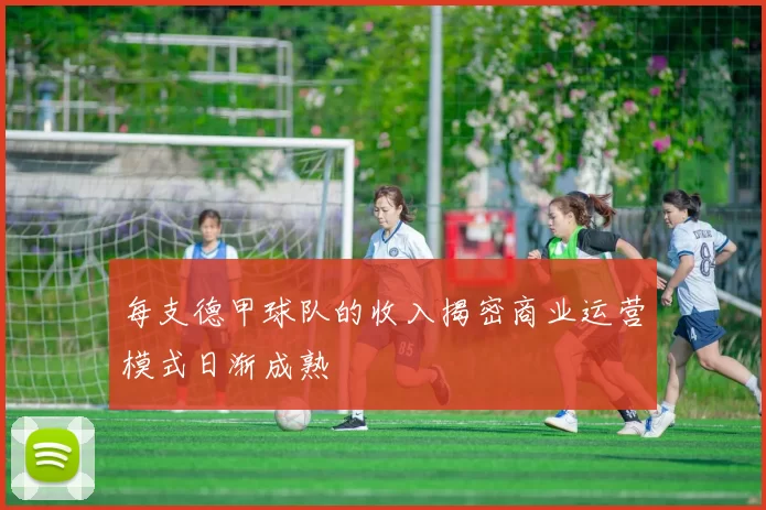 每支德甲球队的收入揭密商业运营模式日渐成熟