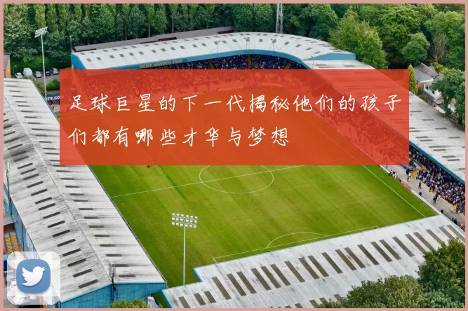 足球巨星的下一代揭秘他们的孩子们都有哪些才华与梦想