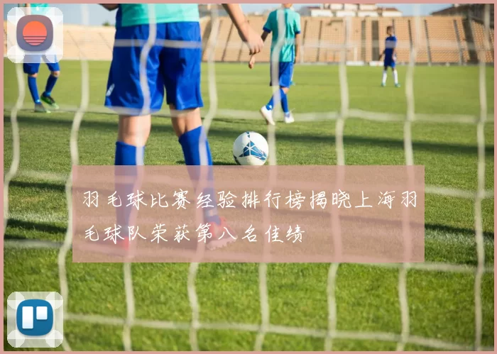 羽毛球比赛经验排行榜揭晓上海羽毛球队荣获第八名佳绩