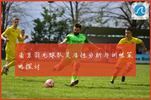 南京羽毛球队灵活性分析与训练策略探讨