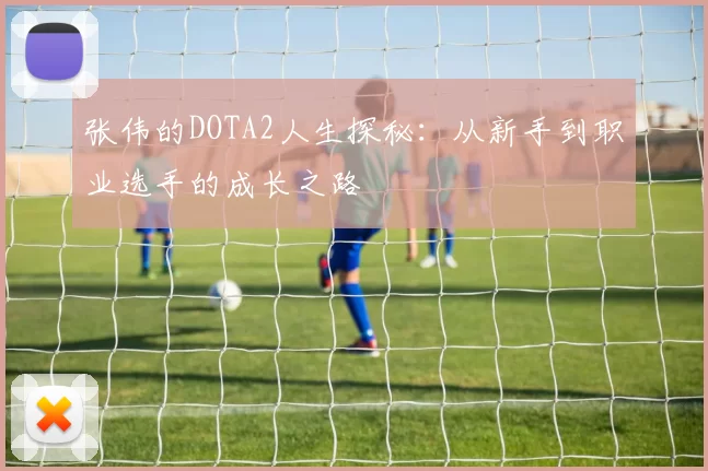 张伟的DOTA2人生探秘：从新手到职业选手的成长之路