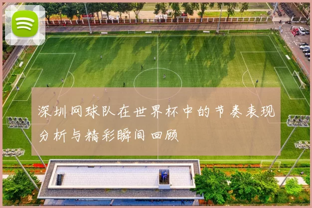 深圳网球队在世界杯中的节奏表现分析与精彩瞬间回顾