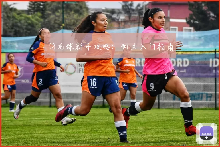 羽毛球新手攻略：耐力入门指南