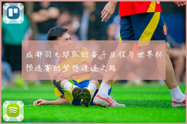 成都羽毛球队的奋斗历程与世界杯预选赛的梦想追逐之路