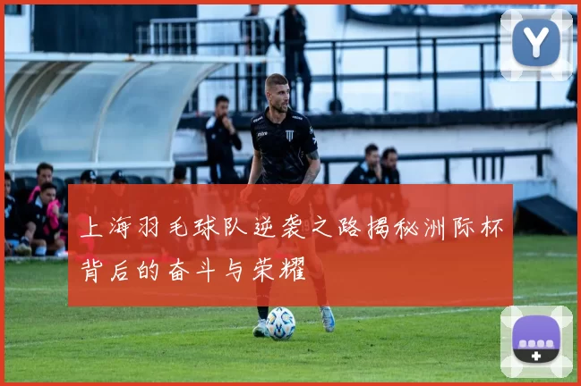 上海羽毛球队逆袭之路揭秘洲际杯背后的奋斗与荣耀