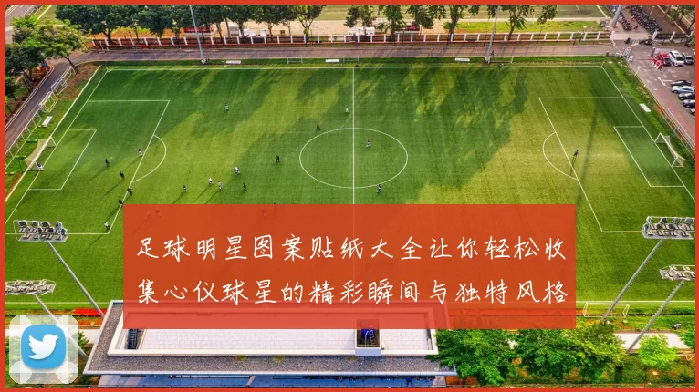 足球明星图案贴纸大全让你轻松收集心仪球星的精彩瞬间与独特风格