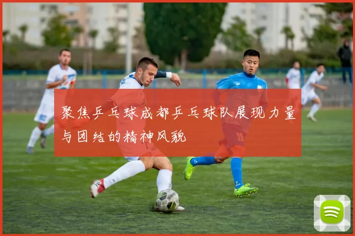 聚焦乒乓球成都乒乓球队展现力量与团结的精神风貌