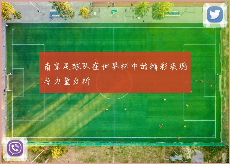 南京足球队在世界杯中的精彩表现与力量分析